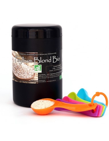 Psyllium Blond Bio