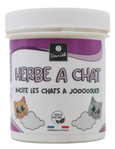 Herbe à Chat Séchée