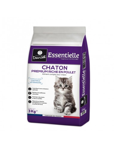 ESSENTIELLE Chaton