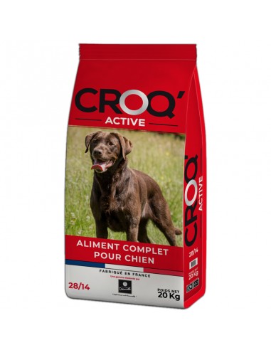 CROQ ACTIVE