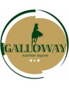 GALLOWAY
